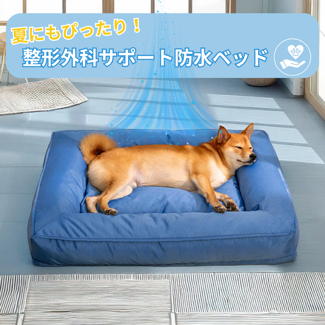 整形外科サポートベット – ワンダフルワールドドック