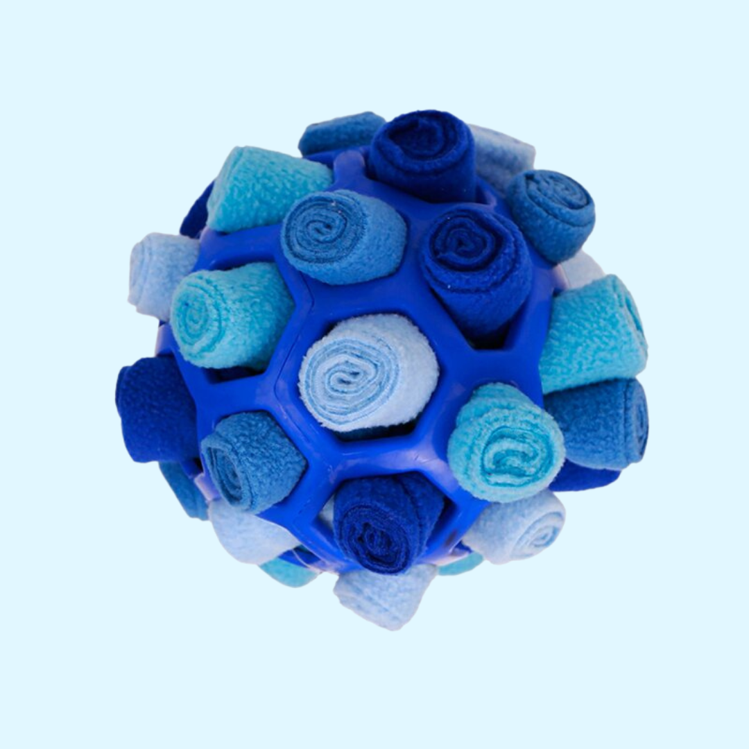 宝探しボール【教育・運動促進】