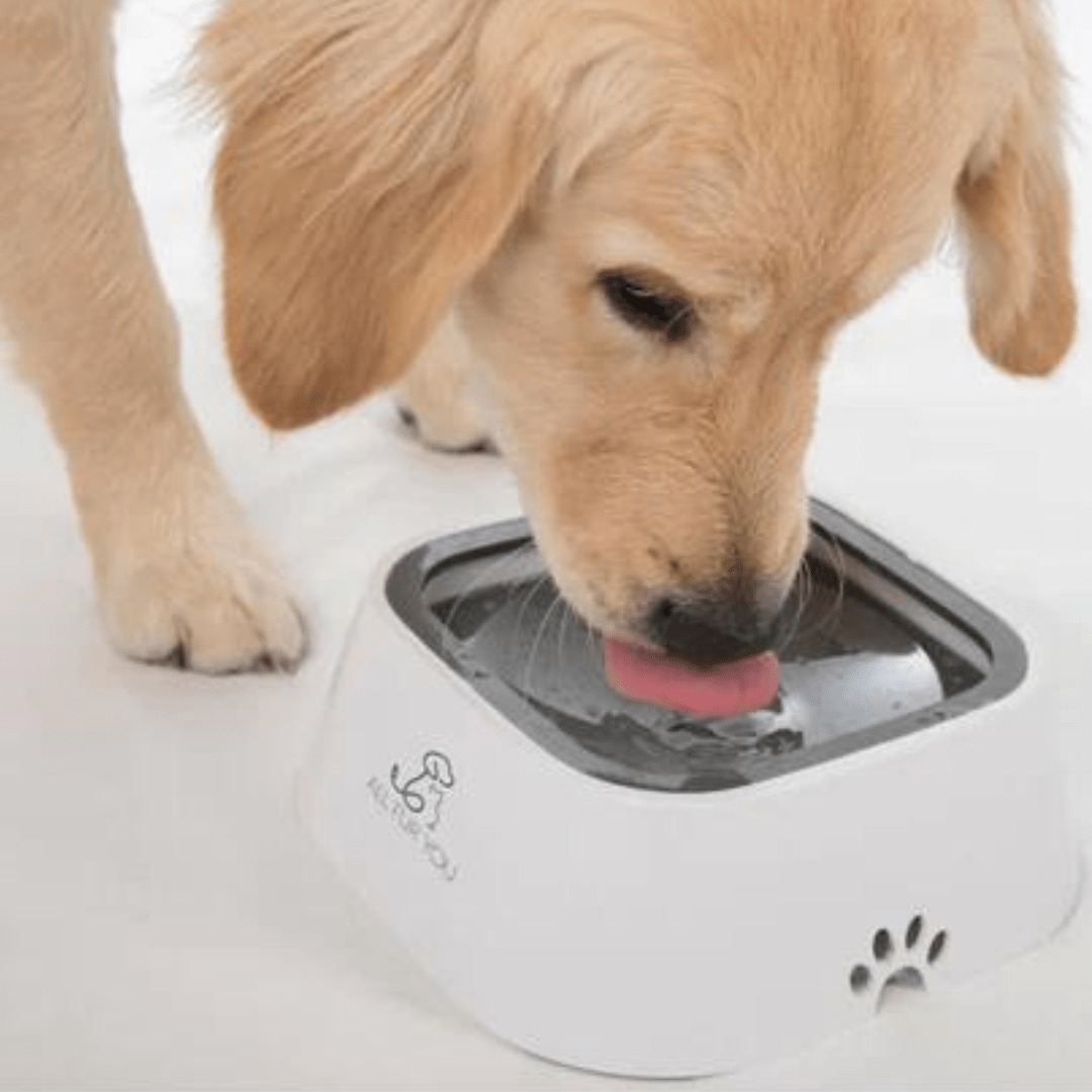 もうこぼれない!水ボウル