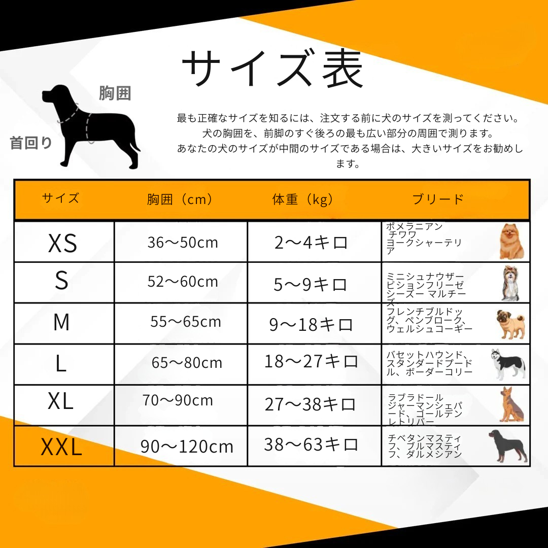 ワンダフルハーネス