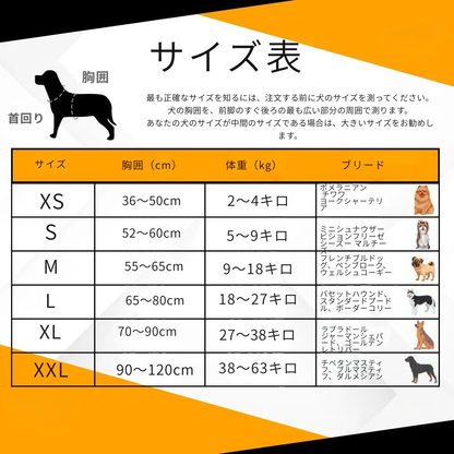 ワンダフルハーネス