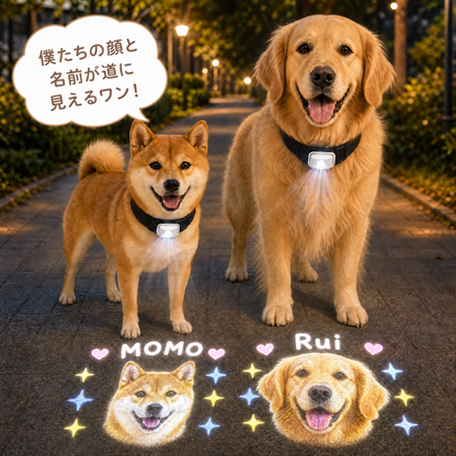 うちの子プロジェクター