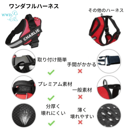 ワンダフルハーネス