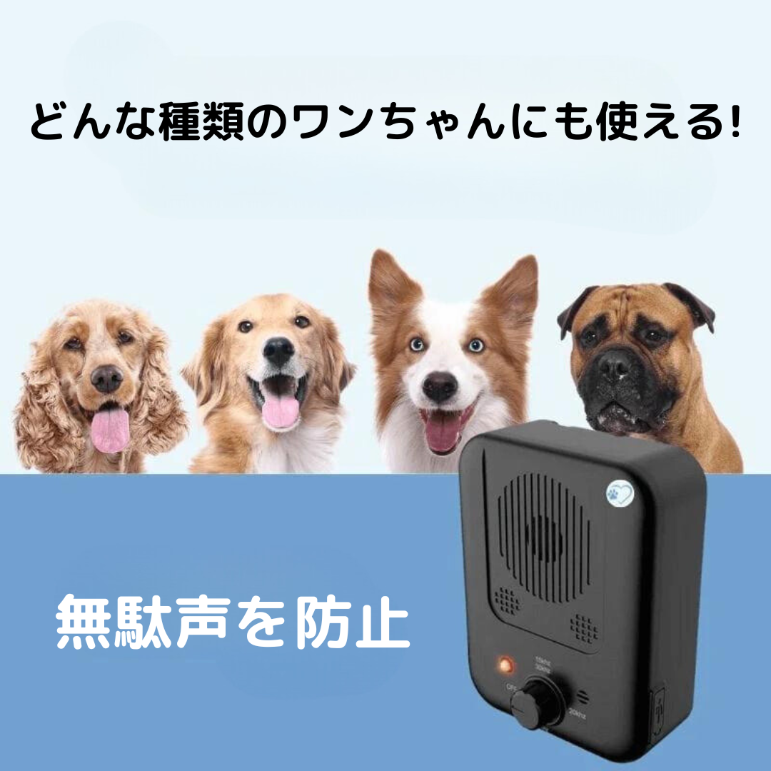 Wanbull （正規品） カテゴリー