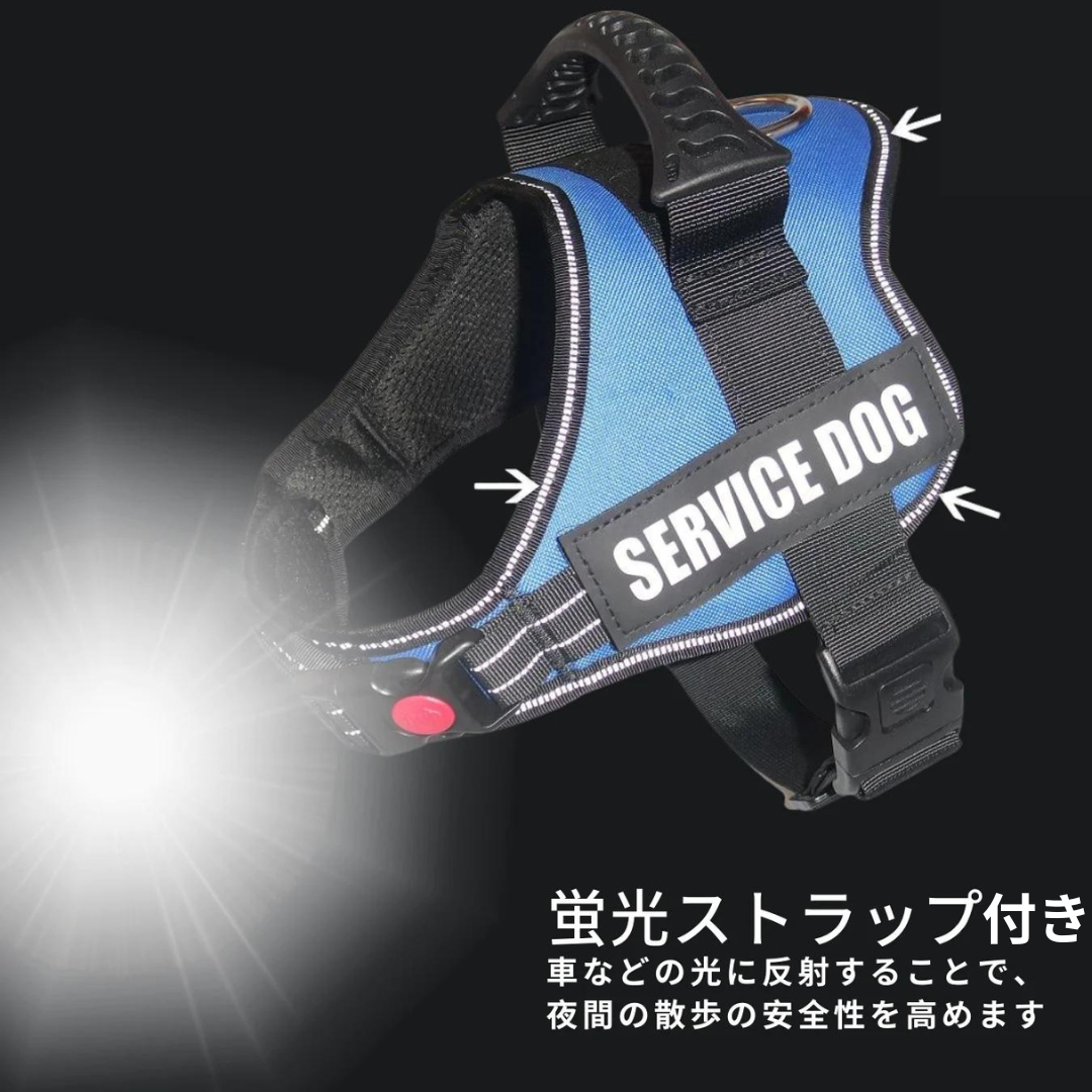 ワンダフルハーネス