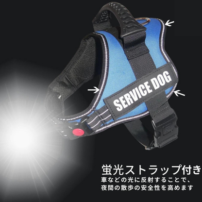 ワンダフルハーネス
