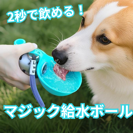 マジック給水ボール