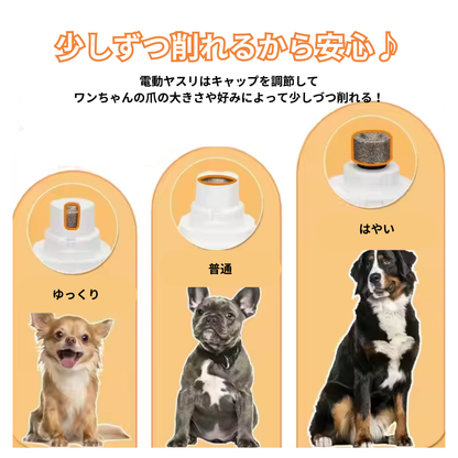 2in1丸見え爪切り