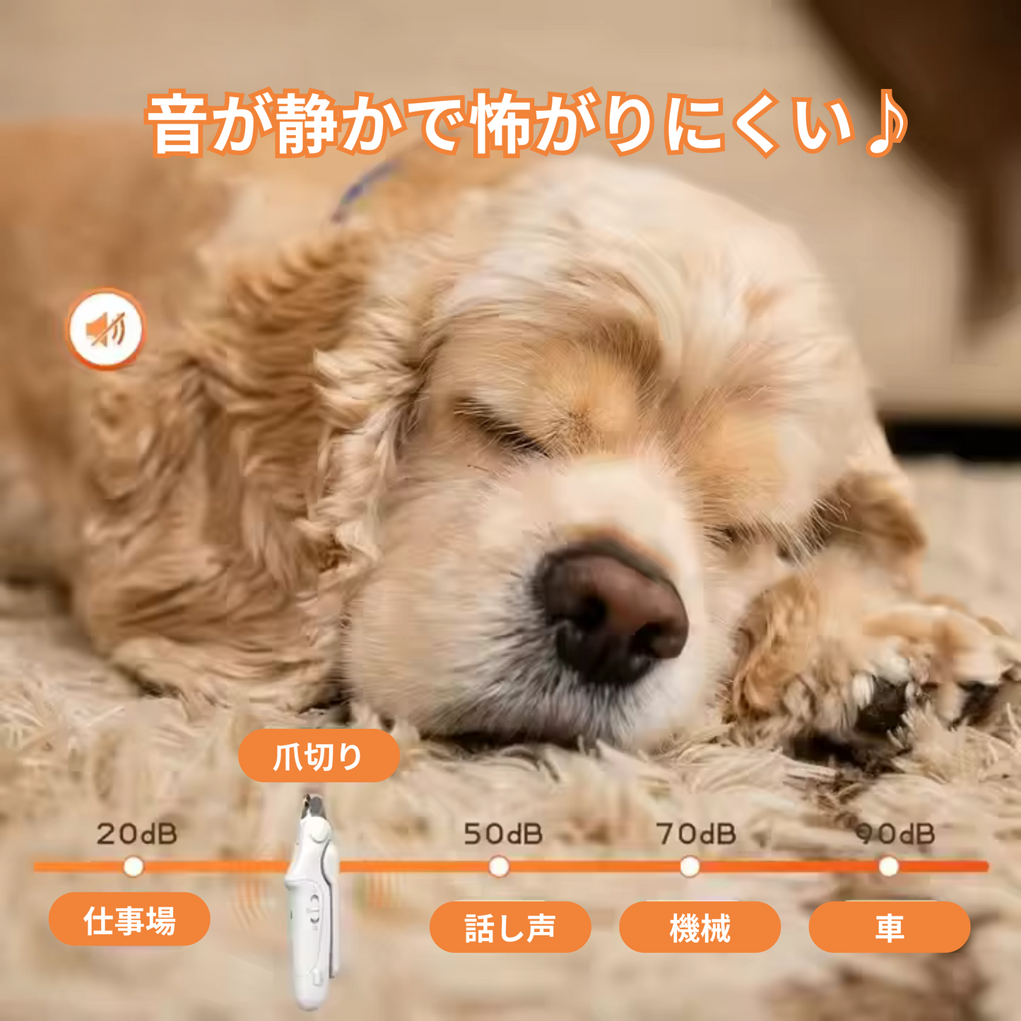 2in1丸見え爪切り