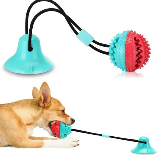 噛み噛み引っ張りボール