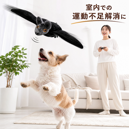 コウモリキャッチ