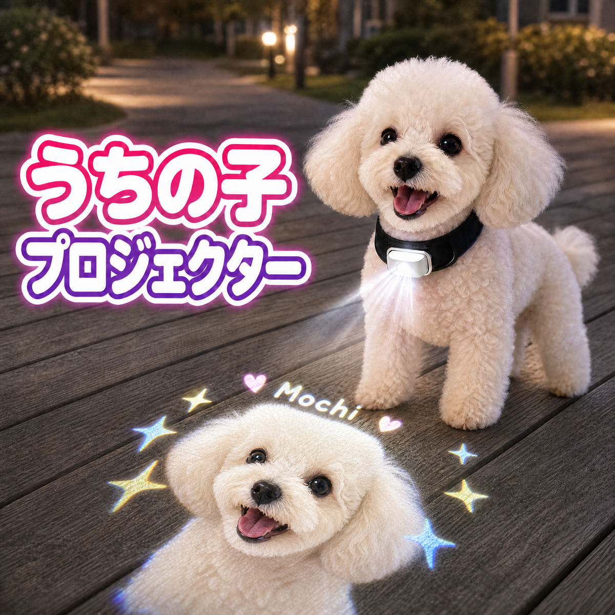 うちの子プロジェクター